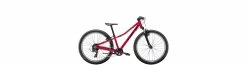 Trek Precaliber 24 8 vitesses Pour Filles